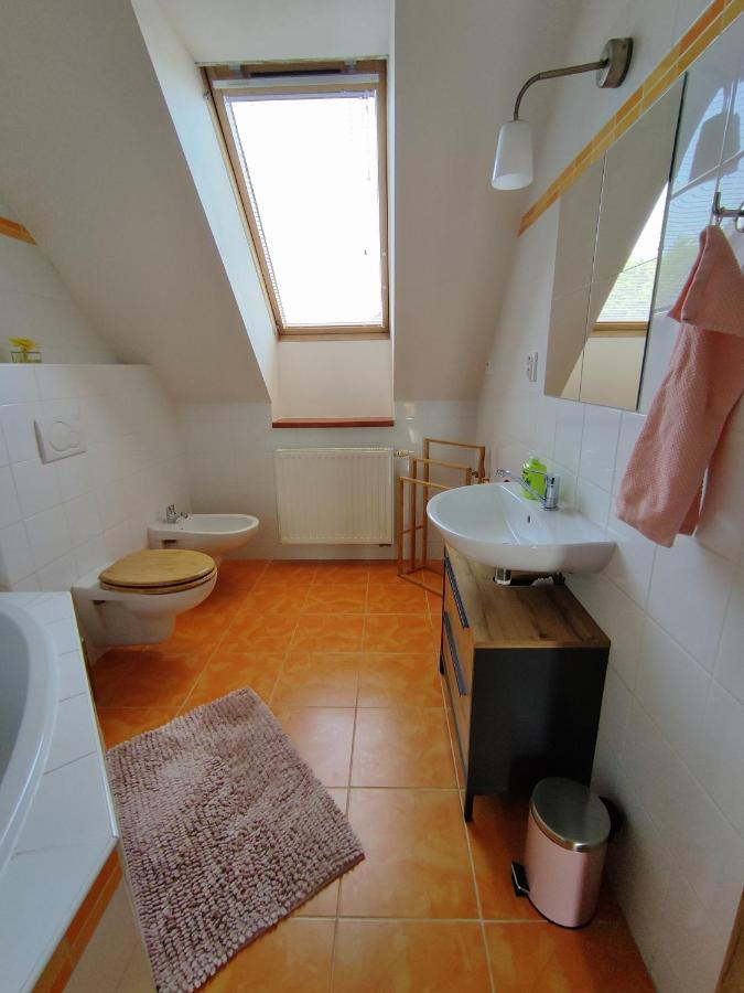 Ubytovani Ema Apartman Valtice Kültér fotó